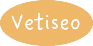 logo vetiseo